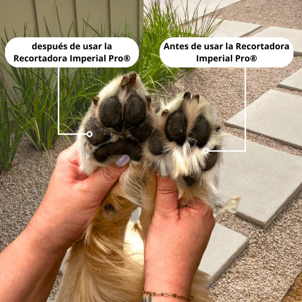 Adiós al miedo y al estrés al cortar a tu mascota  ¡Patitas perfectas en 3 min, Pocas unidades con 50% de Descuento! - Recargable✅